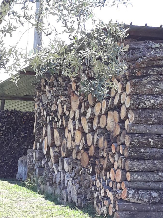 Вилла La Vecchia Quercia Pergine Valdarno Экстерьер фото